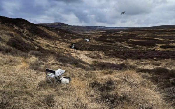 A small camping stool with a sketch on the seat is dwarfed by an epic expanse of moorland, with a stream meandering in the middle ground and a hill looming in the background. A grouse flies past in a cloudy sky promising rain.
