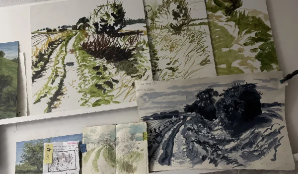 Sketches in various sizes and media are pinned or clamped to shelving and each other in an untidy grouping. Each field sketch and painting contributes to the finished studio works